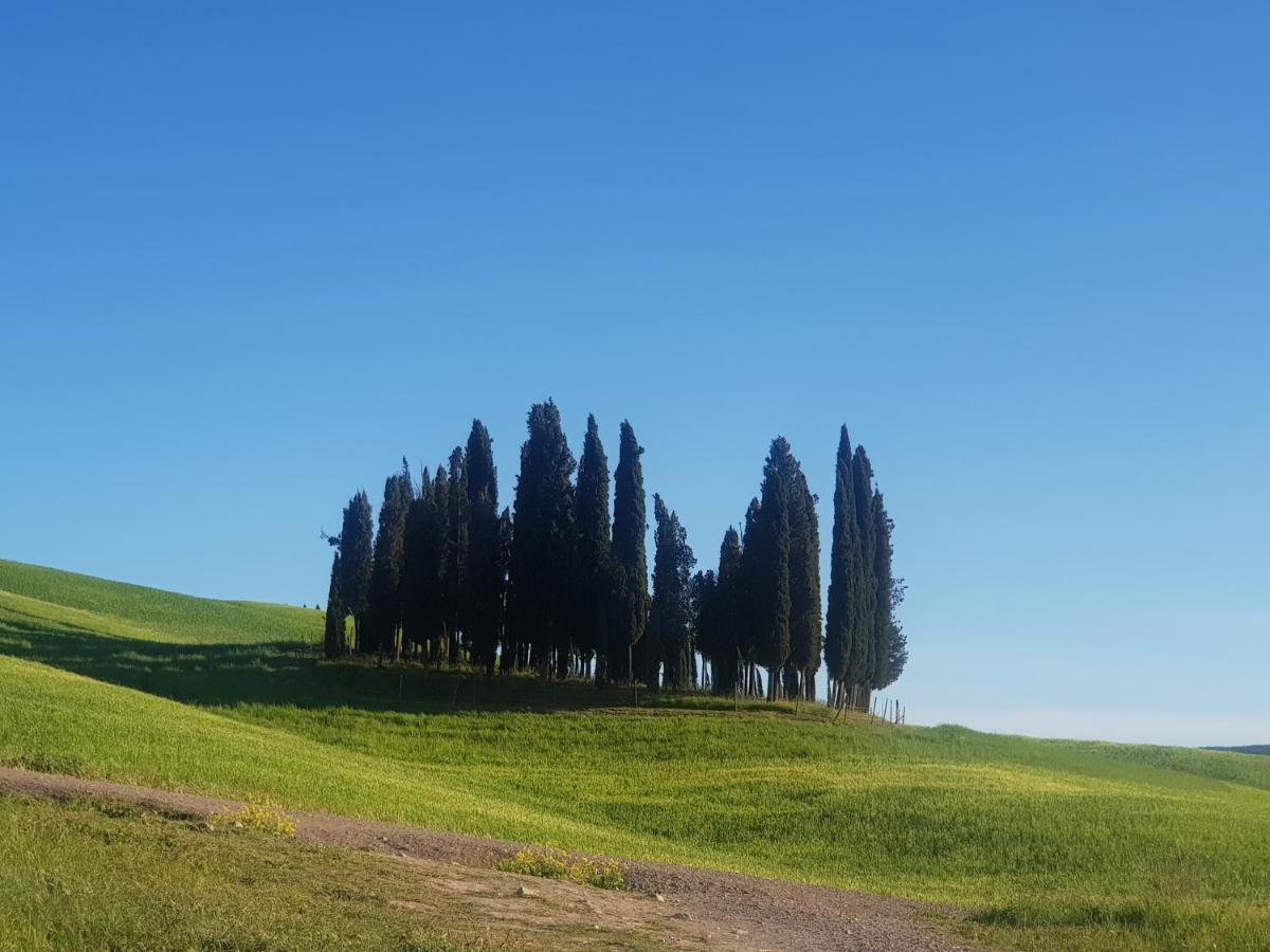 Bed and Breakfast Palazzetto Del Pittore San Quirico dʼOrcia Exterior foto