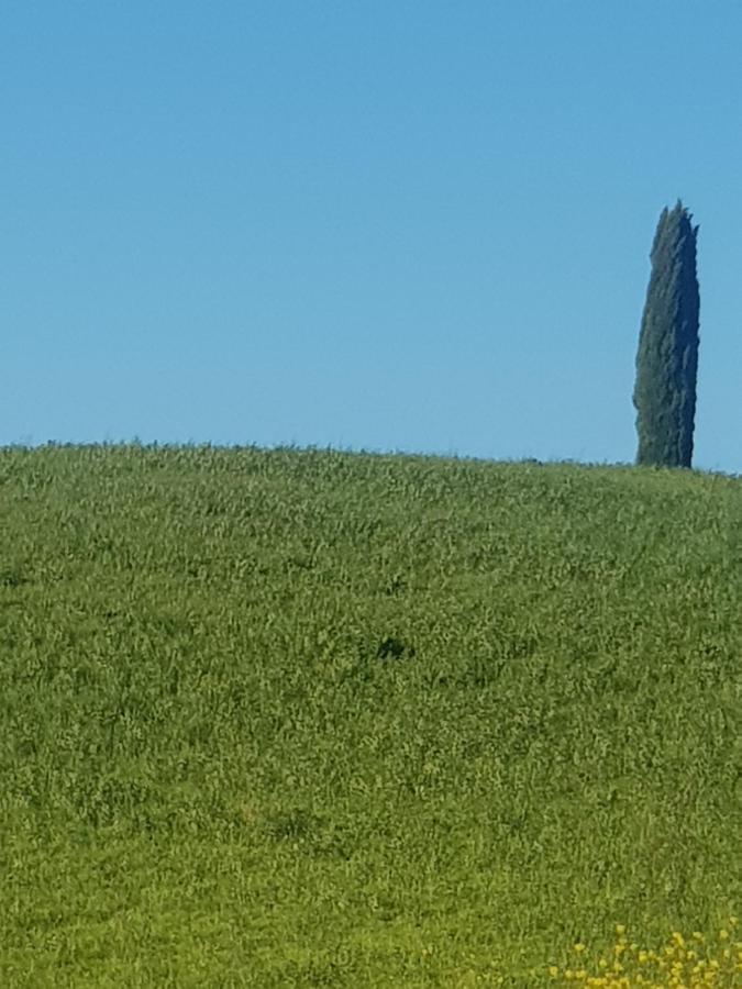 Bed and Breakfast Palazzetto Del Pittore San Quirico dʼOrcia Exterior foto