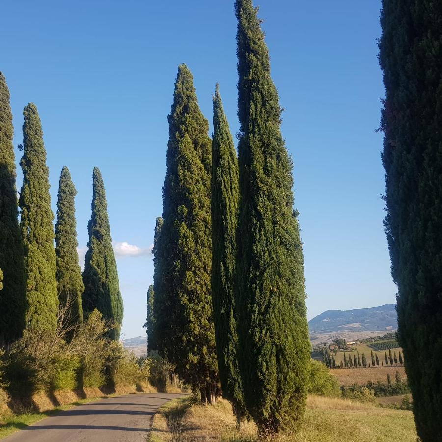 Bed and Breakfast Palazzetto Del Pittore San Quirico dʼOrcia Exterior foto