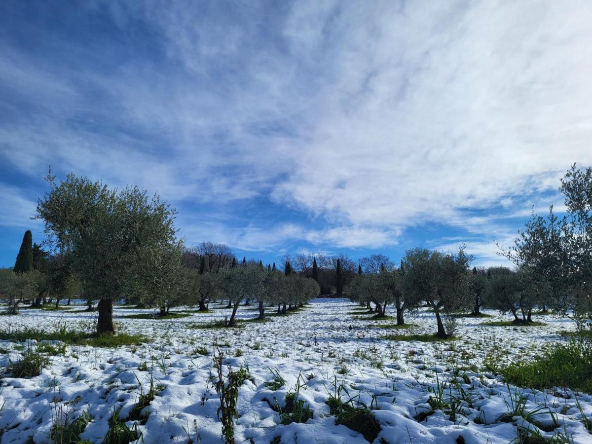 Bed and Breakfast Palazzetto Del Pittore San Quirico dʼOrcia Exterior foto