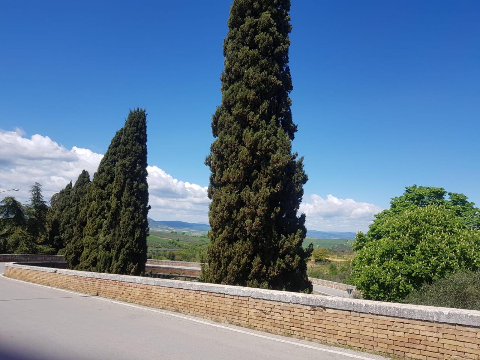 Bed and Breakfast Palazzetto Del Pittore San Quirico dʼOrcia Exterior foto