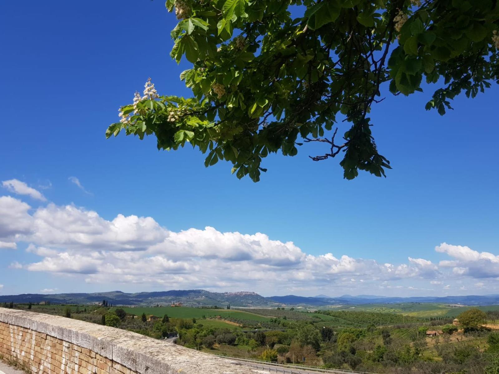 Bed and Breakfast Palazzetto Del Pittore San Quirico dʼOrcia Exterior foto